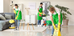 How To Clean A House Professionally
